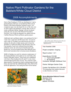 Native Plant Pollinator Gardens for the Baldwin/White Cloud District 2008 Accomplishments
