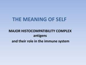 THE MEANING OF SELF MAJOR HISTOCOMPATIBILITY COMPLEX antigens