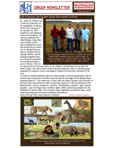 O  RGSP NEWSLETTER LMU Professor and Student Study Slime Molds in Africa