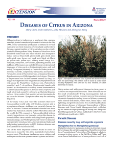 Diseases of Citrus in Arizona E    TENSION Introduction