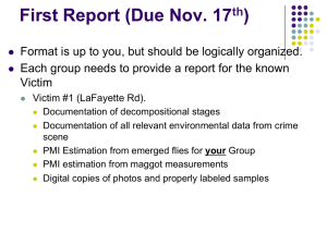 First Report (Due Nov. 17 )