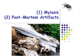 (1) Myiasis (2) Post-Mortem Artifacts …