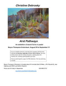 Christine Debrosky Arid Pathways An exhibition of desert forms in pastel