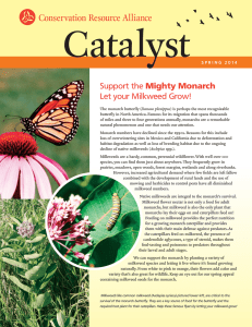 Catalyst Conservation Resource Alliance Mighty Monarch Let your Milkweed Grow!
