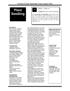 Plant Seedling Arizona Grown Specialty Crop Lesson Plan