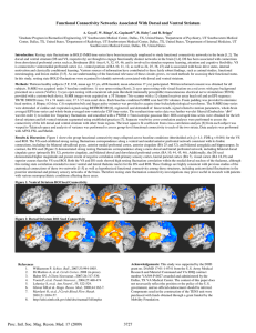 Functional Connectivity Networks Associated With Dorsal and Ventral Striatum