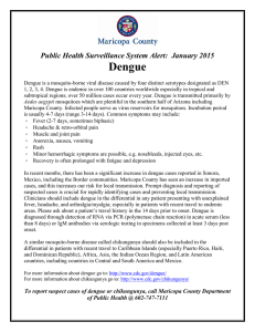 Dengue Public Health Surveillance System Alert:  January 2015