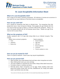 St. Louis Encephalitis Information Sheet  What is St. Louis Encephalitis (SLE)?