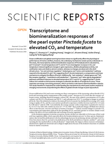 Transcriptome and biomineralization responses of Pinctada fucata elevated CO
