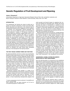 Genetic Regulation of Fruit Development and Ripening James J. Giovannoni