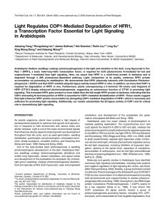 Light Regulates COP1-Mediated Degradation of HFR1,