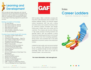 Career Ladders Learning and Development Sales