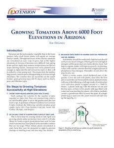 Growing Tomatoes Above 6000 Foot Elevations in Arizona Introduction