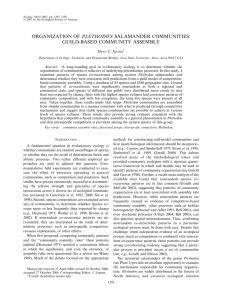ORGANIZATION OF PLETHODON SALAMANDER COMMUNITIES: GUILD-BASED COMMUNITY ASSEMBLY D C. A