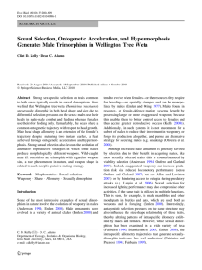 Sexual Selection, Ontogenetic Acceleration, and Hypermorphosis