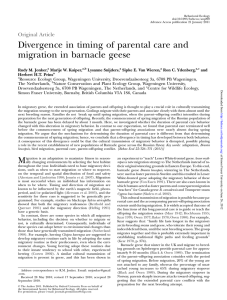 Divergence in timing of parental care and migration in barnacle geese