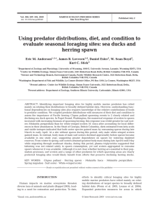 Using predator distributions, diet, and condition to herring spawn