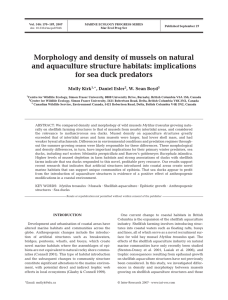 Morphology and density of mussels on natural for sea duck predators