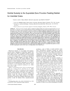 Detrital  Subsidy to the  Supratidal  Zone ... for  Intertidal Crabs