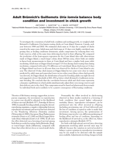 Adult Brünnich’s Guillemots balance body condition and investment in chick growth