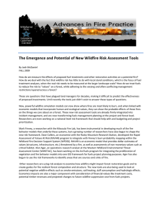 The Emergence and Potential of New Wildfire Risk Assessment Tools