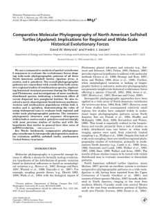 Comparative Molecular Phylogeography of North American Softshell Apalone Historical Evolutionary Forces