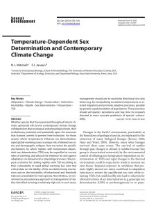 Temperature-Dependent  Sex Determination and Contemporary Climate Change N.J.  Mitchell