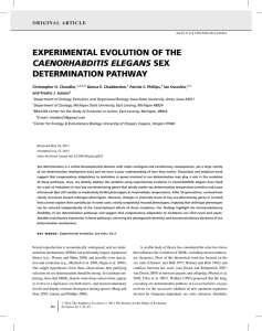 EXPERIMENTAL EVOLUTION OF THE DETERMINATION PATHWAY CAENORHABDITIS ELEGANS