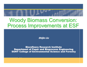 Woody Biomass Conversion: Process Improvements at ESF Shijie Liu