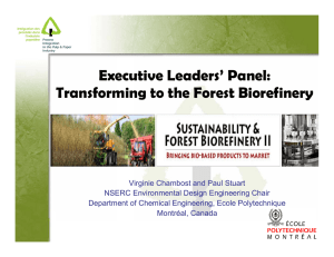 Executive Leaders’ Panel: Transforming to the Forest Biorefinery