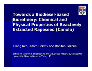 Towards a Biodiesel - based Biorefinery: Chemical and