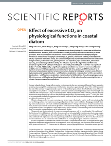 Effect of excessive CO on physiological functions in coastal diatom