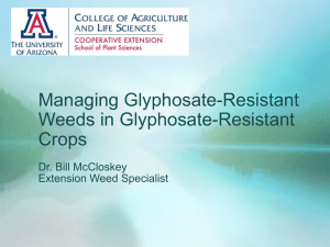 Managing Glyphosate-Resistant Weeds in Glyphosate-Resistant Crops Dr. Bill McCloskey