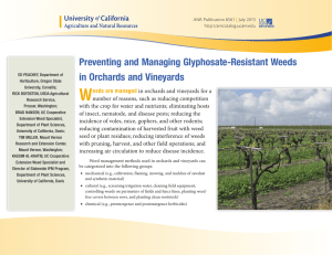 W Preventing and Managing Glyphosate-Resistant Weeds in Orchards and Vineyards eeds are managed