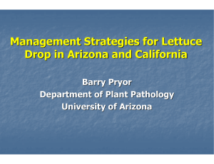 Management Strategies for Lettuce Drop in Arizona and California Barry Pryor