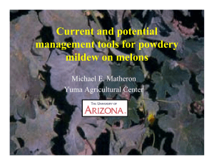 Current and potential management tools for powdery mildew on melons Michael E. Matheron