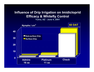 Influence of Drip Irrigation on Imidicloprid Efficacy &amp; Whitefly Control 60 DAT Actara
