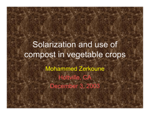 Solarization and use of compost in vegetable crops Mohammed Zerkoune Holtville, CA