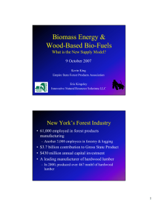 Biomass Energy &amp; Wood-Based Bio-Fuels What is the New Supply Model?