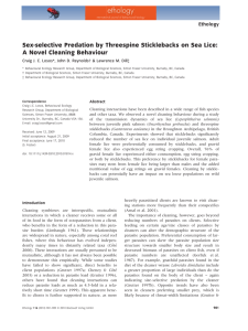 Sex-selective Predation by Threespine Sticklebacks on Sea Lice: Ethology
