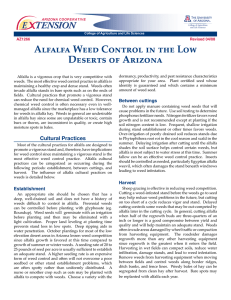 Alfalfa Weed Control in the Low Deserts of Arizona