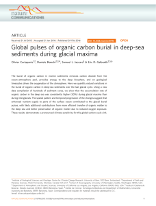 Global pulses of organic carbon burial in deep-sea ARTICLE Olivier Cartapanis