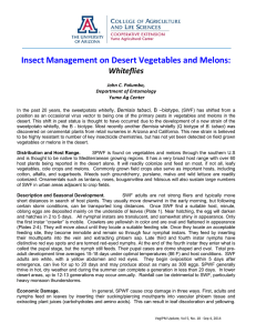 Insect Management on Desert Vegetables and Melons: Whiteflies John C. Palumbo,