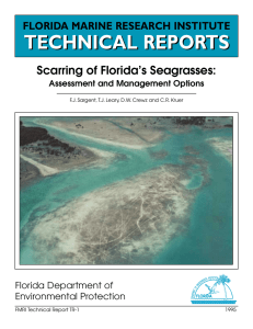 TECHNICAL REPORTS Scarring of Florida’s Seagrasses: FLORIDA MARINE RESEARCH INSTITUTE Florida Department of