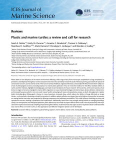 Reviews Plastic and marine turtles: a review and call for research