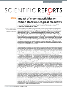 Impact of mooring activities on carbon stocks in seagrass meadows