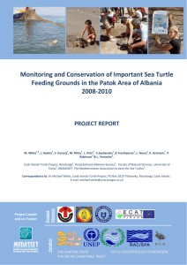   Monitoring and Conservation of Important Sea Turtle  Feeding Grounds in the Patok Area of Albania  2008‐2010 