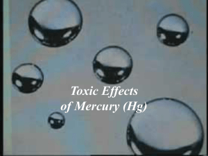 Toxic Effects of Mercury (Hg)