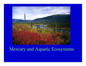Mercury and Aquatic Ecosystems