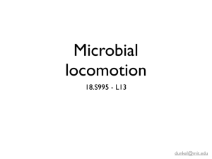 Microbial locomotion 18.S995 - L13